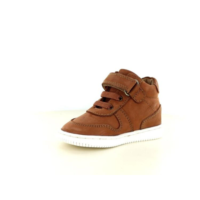 Develab 45831 45831 large