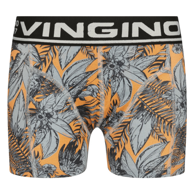 Vingino U241KBN72504 Ondergoed Oranje  U241KBN72504  large