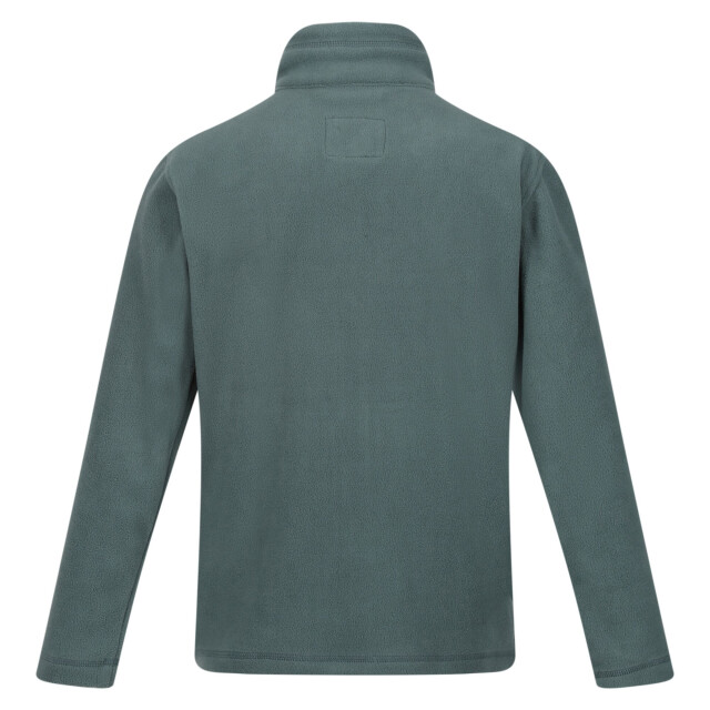 Regatta Groot buitenshuis kinderen/kinderen king ii lichtgewicht full zip fleece jasje UTRG565_pop large