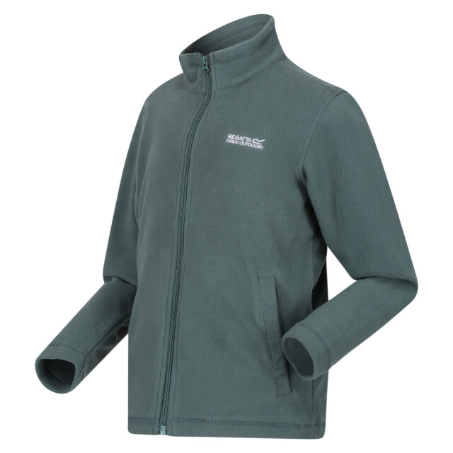 Regatta Groot buitenshuis kinderen/kinderen king ii lichtgewicht full zip fleece jasje UTRG565_pop large