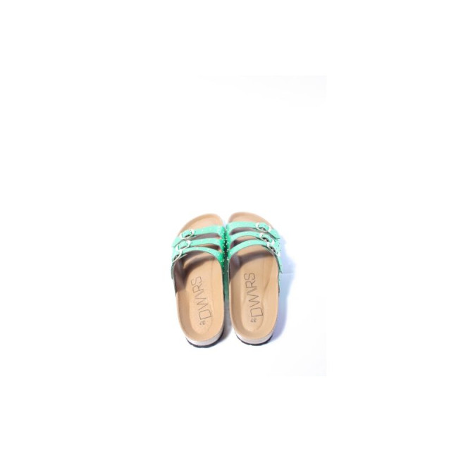 DWRS Label Komodo slippers  large