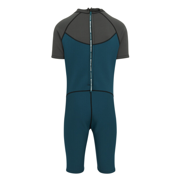 Regatta Heren kort wetsuit UTRG7776_greymoroccanblue large