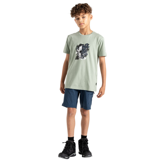 Dare2b Trailblazer ii grafisch t-shirt voor kinderen/kinderen UTRG9839_lilypadgreen large