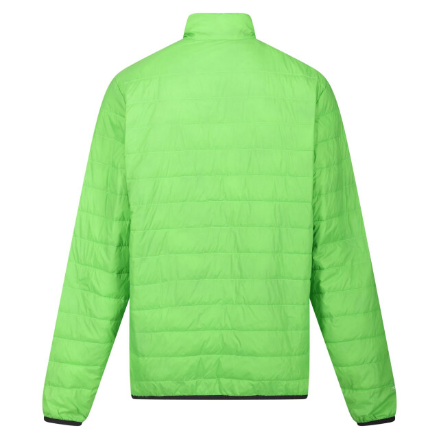 Regatta Hillpack gewatteerd geïsoleerd jasje heren UTRG6350_jasminegreenfieldgreen large