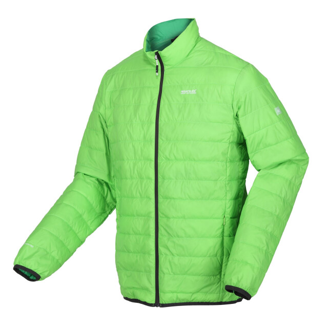 Regatta Hillpack gewatteerd geïsoleerd jasje heren UTRG6350_jasminegreenfieldgreen large