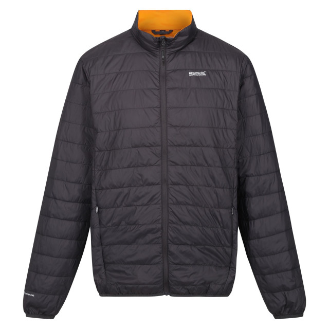 Regatta Hillpack gewatteerd geïsoleerd jasje heren UTRG6350_ashorangepepper large