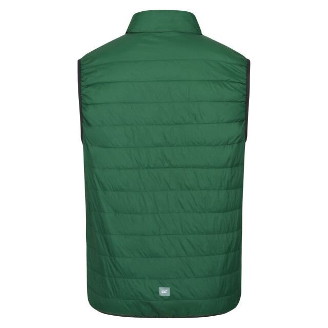 Regatta Hillpack geïsoleerde bodywarmer voor heren UTRG6536_eden large