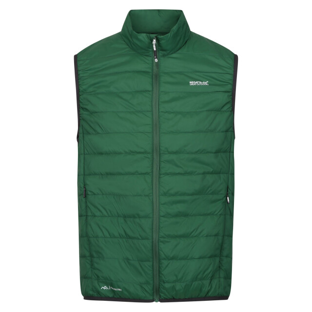Regatta Hillpack geïsoleerde bodywarmer voor heren UTRG6536_eden large