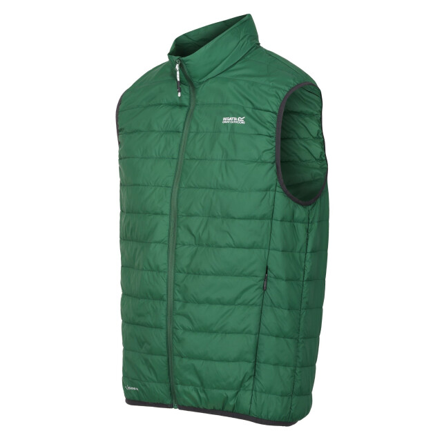 Regatta Hillpack geïsoleerde bodywarmer voor heren UTRG6536_eden large