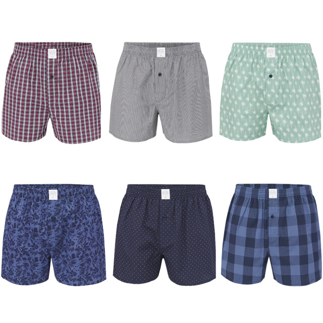 MG-1 Wijde boxershorts heren 6-pack d300 assorti pack MG1-300 large