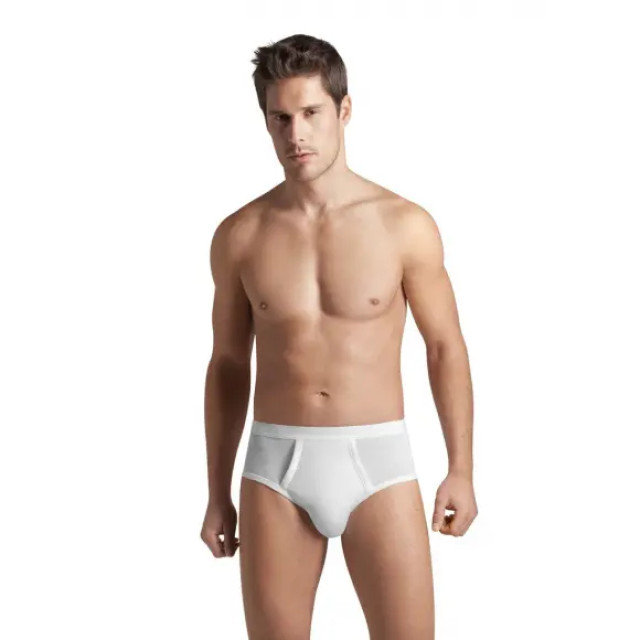 Hanro Briefs h fly 073631 large