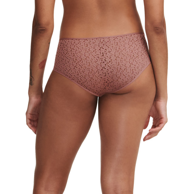 Chantelle Norah brief covering horty C13F40 large