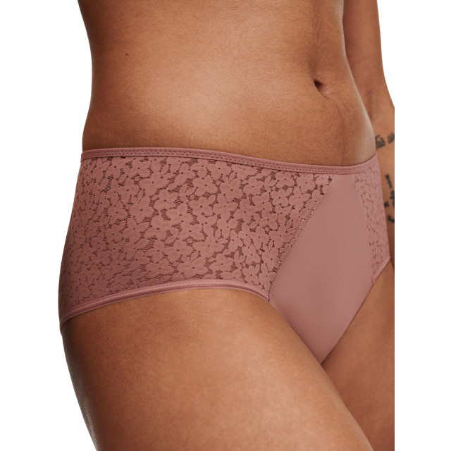 Chantelle Norah brief covering horty C13F40 large