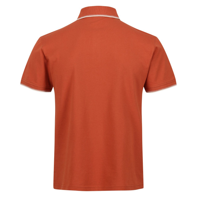 Regatta Heren tadeo polo shirt UTRG7226_bakedclay large