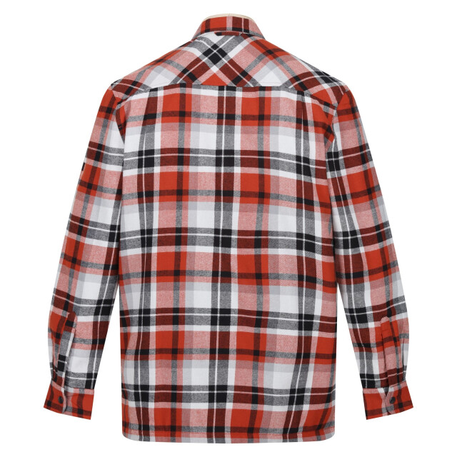 Regatta Heren thamos geruit overhemd met lange mouwen UTRG7040_burnthennastormgrey large