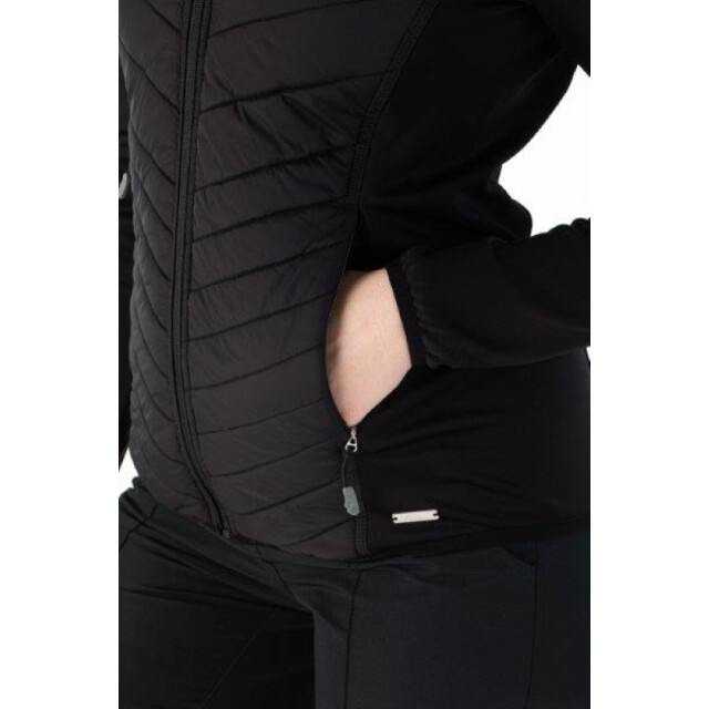 Falcon Laura laura-b001 FALCON laura laura-b001 large