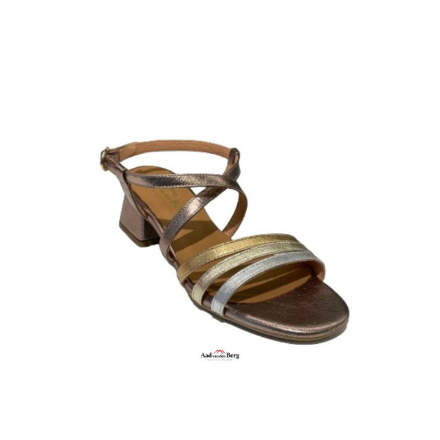 AVDB Damesschoenen sandalen 1921 279 large