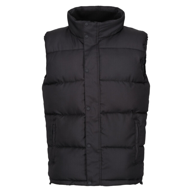 Regatta Heren northdale geïsoleerd gilet UTRG10078_black large