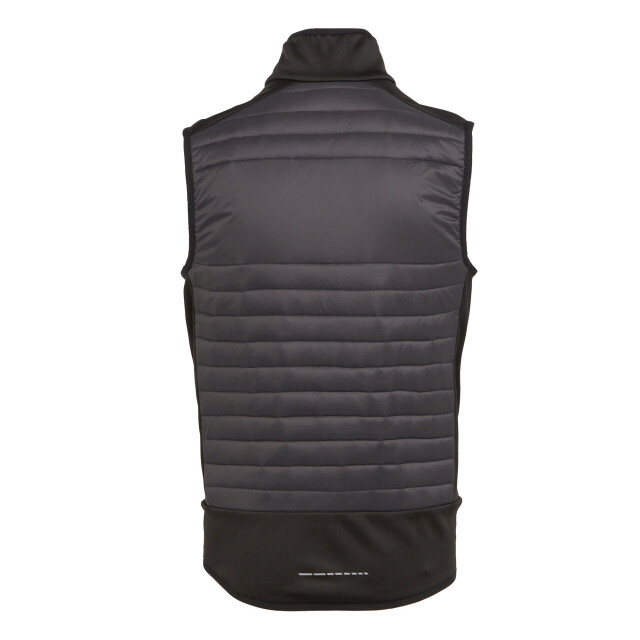 Regatta E-volve thermische hybride bodywarmer voor volwassenen UTRG10099_ashblack large