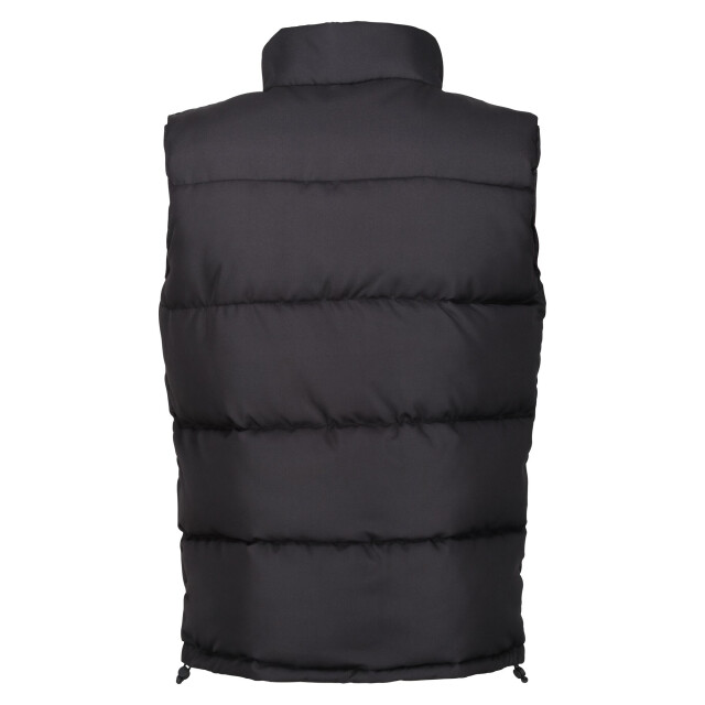 Regatta Heren northdale geïsoleerd gilet UTRG10078_black large