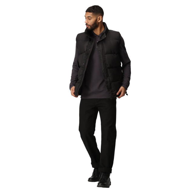 Regatta Heren northdale geïsoleerd gilet UTRG10078_black large
