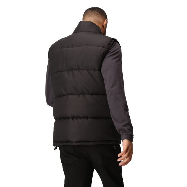 Regatta Heren northdale geïsoleerd gilet UTRG10078_black large