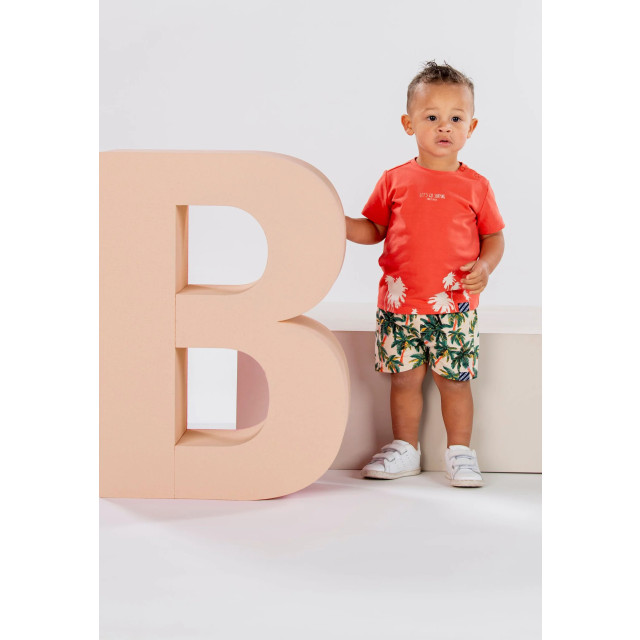 B.Nosy Baby jongens t-shirt karsten paprika 150204246 large