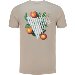 Pure Path Triangle orange branch t-shirt taupe