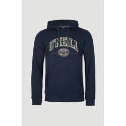 O'Neill Surf state hoodie