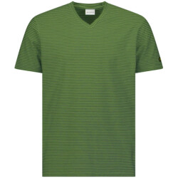 No Excess T-shirt korte mouw ronde hals met streep green