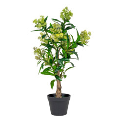 House Nordic Skimmia tree artificial plant, green, 75 cm