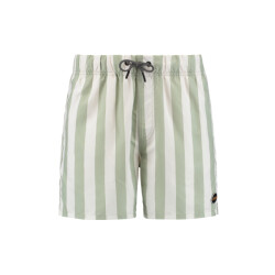 Shiwi Heren zwemshort broad stripe