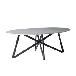 Livingfurn eetkamertafel dt- marble oval web white 200cm marmer / gecoat staal