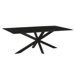 Livingfurn 1x eetkamertafel oslo spider black acacia 220 cm acacia / gecoat staal