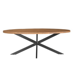 Livingfurn eetkamertafel rocky oval 210 cm mangohout / gecoat staal