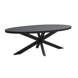 Livingfurn ovale eetkamertafel - mango hout 240 cm