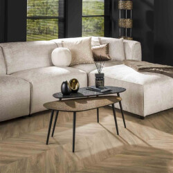 Hoyz Hoyz salontafel metallic niervormig - set van 2