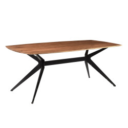Brix eetkamertafel bjorn - 200cm mangohout -