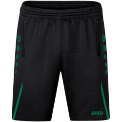 Jako Trainingsshort challenge 8521-813