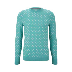 Tom Tailor 1026327 printed sweater mint