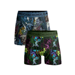 Muchachomalo Jongens 2-pack boxershorts earth elements