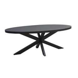 Livingfurn eetkamertafel kala oval spider 160cm mangohout / gecoat staal