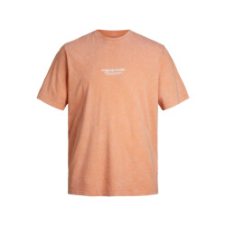 Jack & Jones Jorvesterbro wash tee