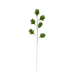 Light & Living ornament tulip 26x6x90cm -