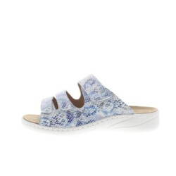 Solidus Wellness spezial g