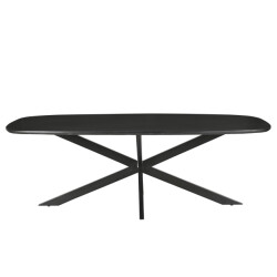 Livingfurn eetkamertafel jesper danish oval black 230cm mangohout / gecoat staal
