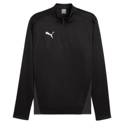 Puma Teamgoal training 1/4 zip