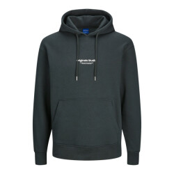 Jack & Jones Jorvesterbro sweat hood
