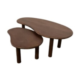 Livingfurn salontafel nubi brown set of 2 mangohout