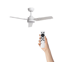 Cool Breeze Plafondventilator liam met verlichting Ø105cm 6 snelheden afstandsbediening -